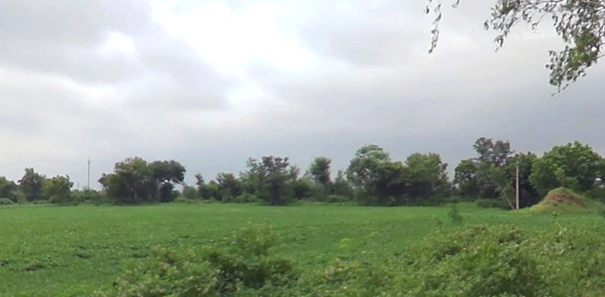 Lohar Pipalya, Madhya Pradesh 455001, India