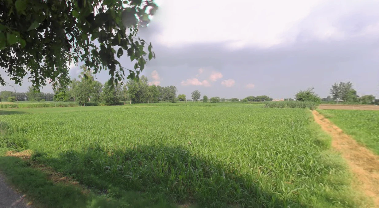 Patauna, Uttar Pradesh 226104, India