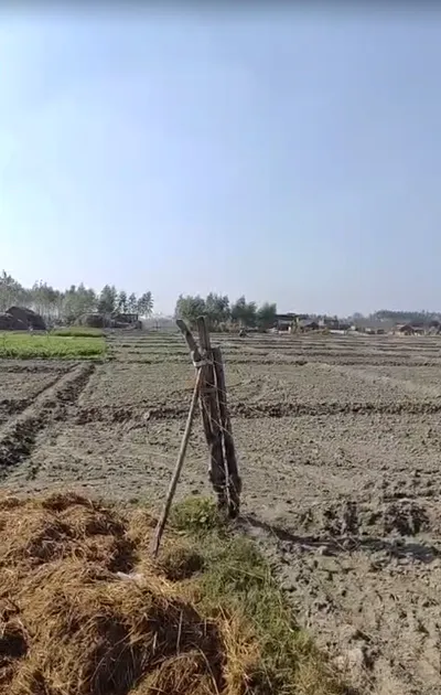 Biswan, Uttar Pradesh 261201, India preview 2