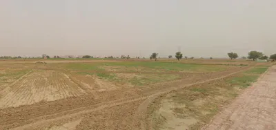 399J+29C, Koleshwar Kalan, Rajasthan 303325, India preview 3