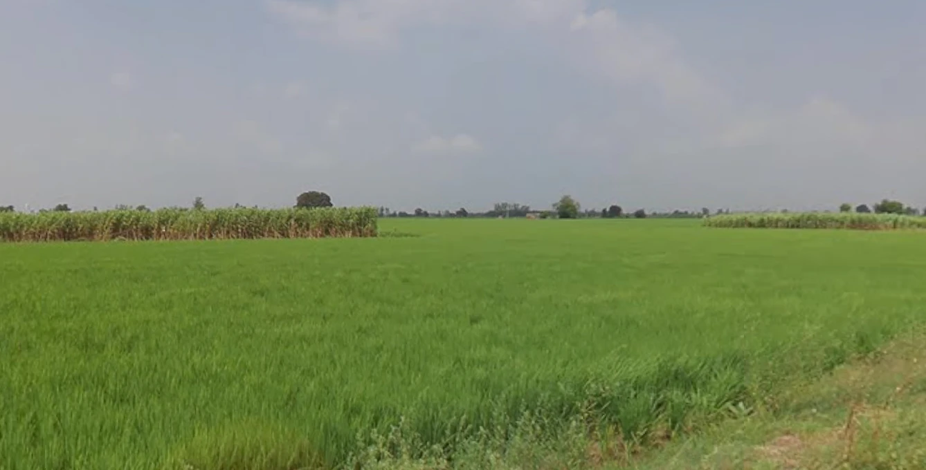 Sirhind Rd, Harinder Nagar, Patiala, Punjab 147004, India