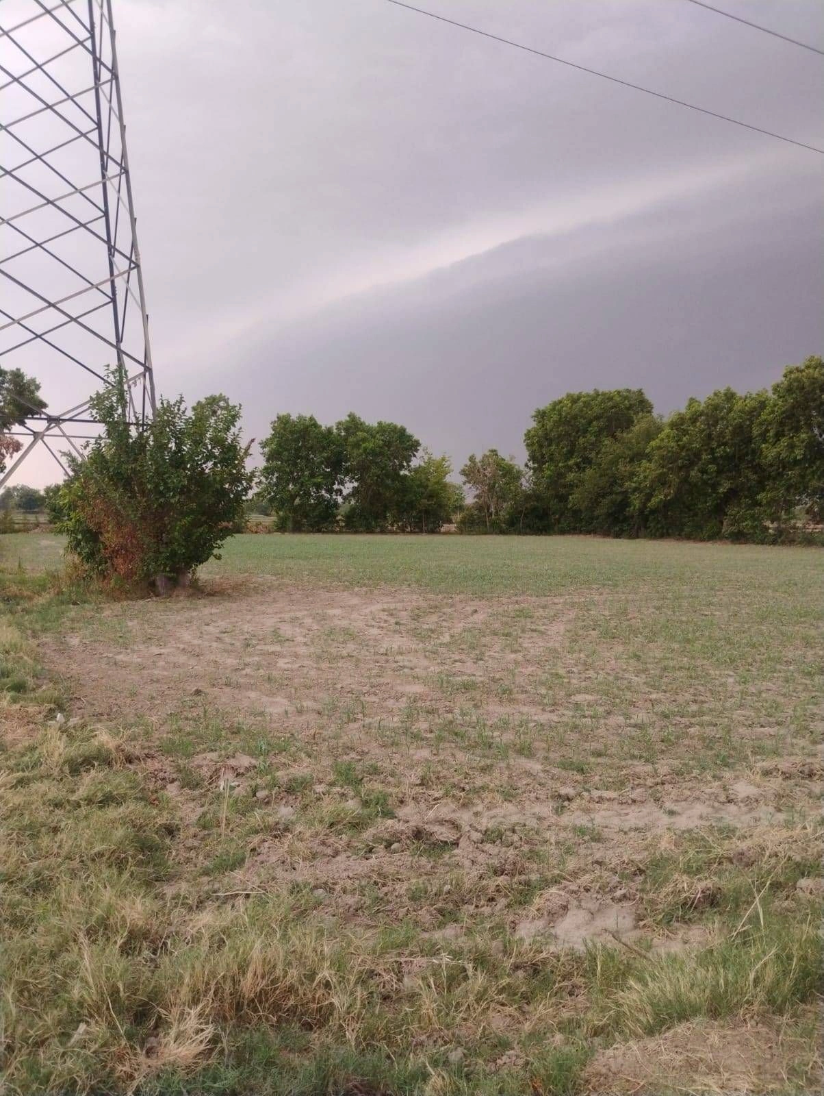 Tarabganj, Uttar Pradesh 271403, India
