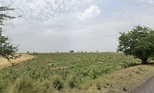 4QF4+W9V, Palkhedi, Madhya Pradesh 456006, India preview 3