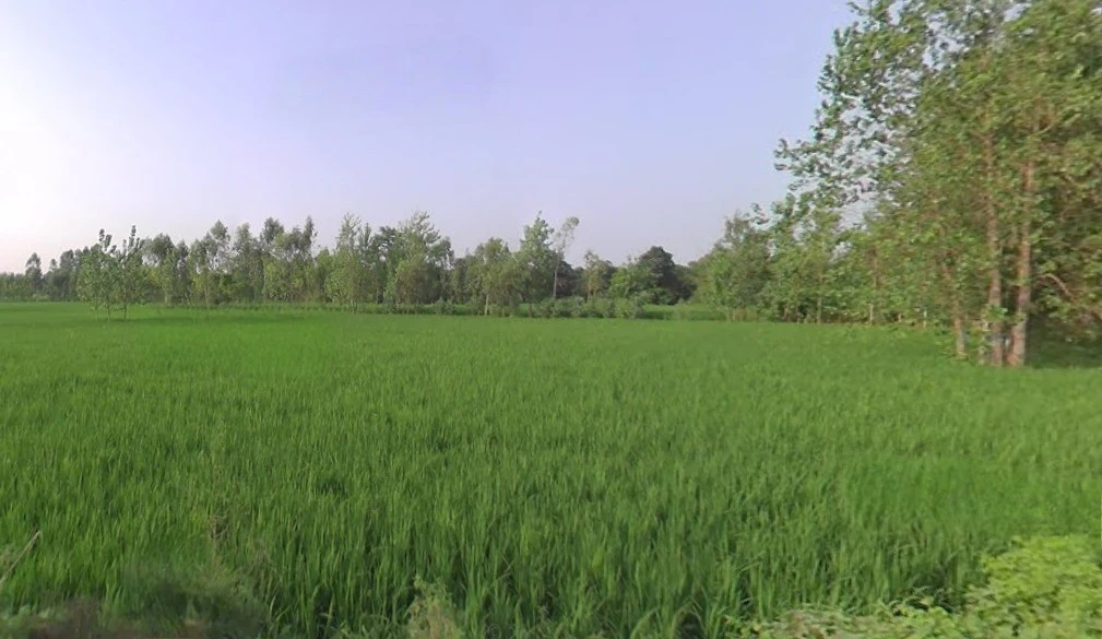 Rampur Nagla Chatol, Uttar Pradesh 204211, India