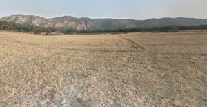 Pawadih, Bihar, India preview 3