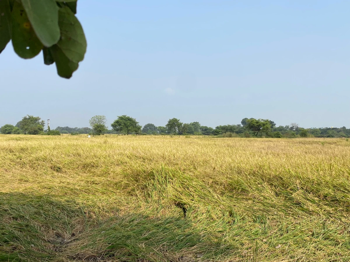 Narmadapuram, Madhya Pradesh, India
