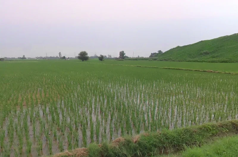 Amtara, Chhattisgarh 495009, India preview 3