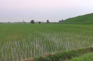 Amtara, Chhattisgarh 495009, India preview 3