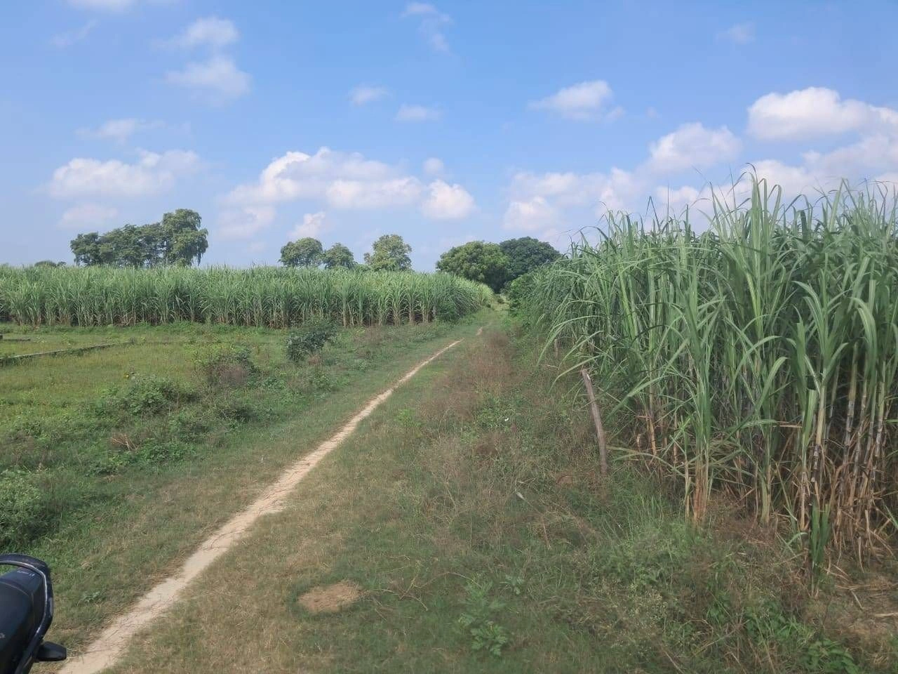 P5FX+72 Dadera, Ayodhya, Uttar Pradesh, India - Photo 2