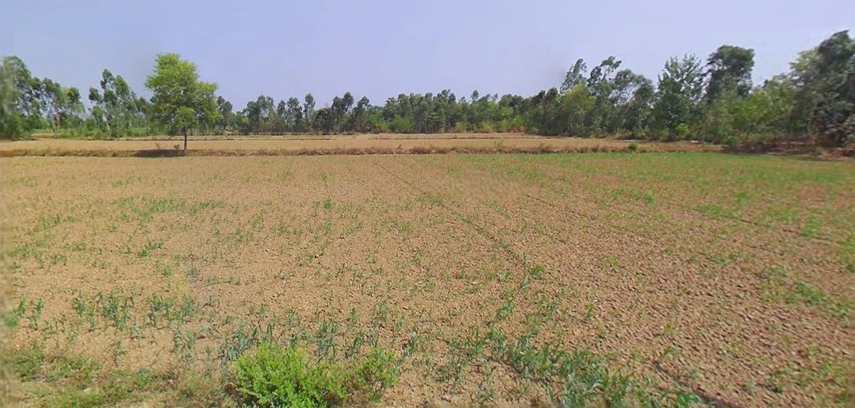 Bijnor, Uttar Pradesh 246701, India