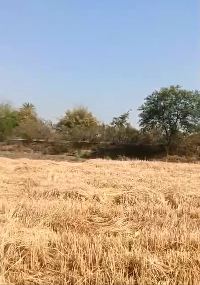 8HHP+QX8, Ujjain, Unhel, Madhya Pradesh 456221, India preview 2