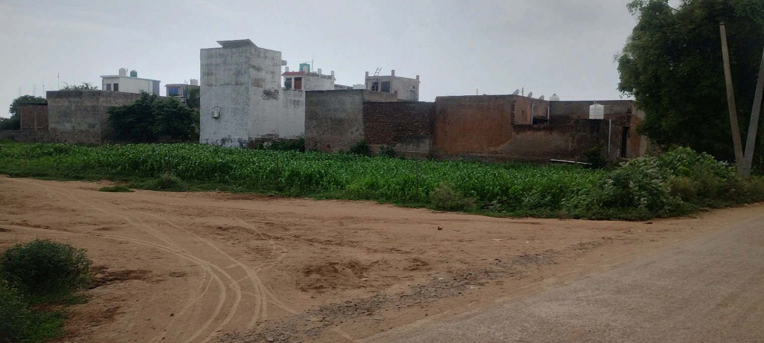 Barodameo, Alwar, Rajasthan 301021, India
