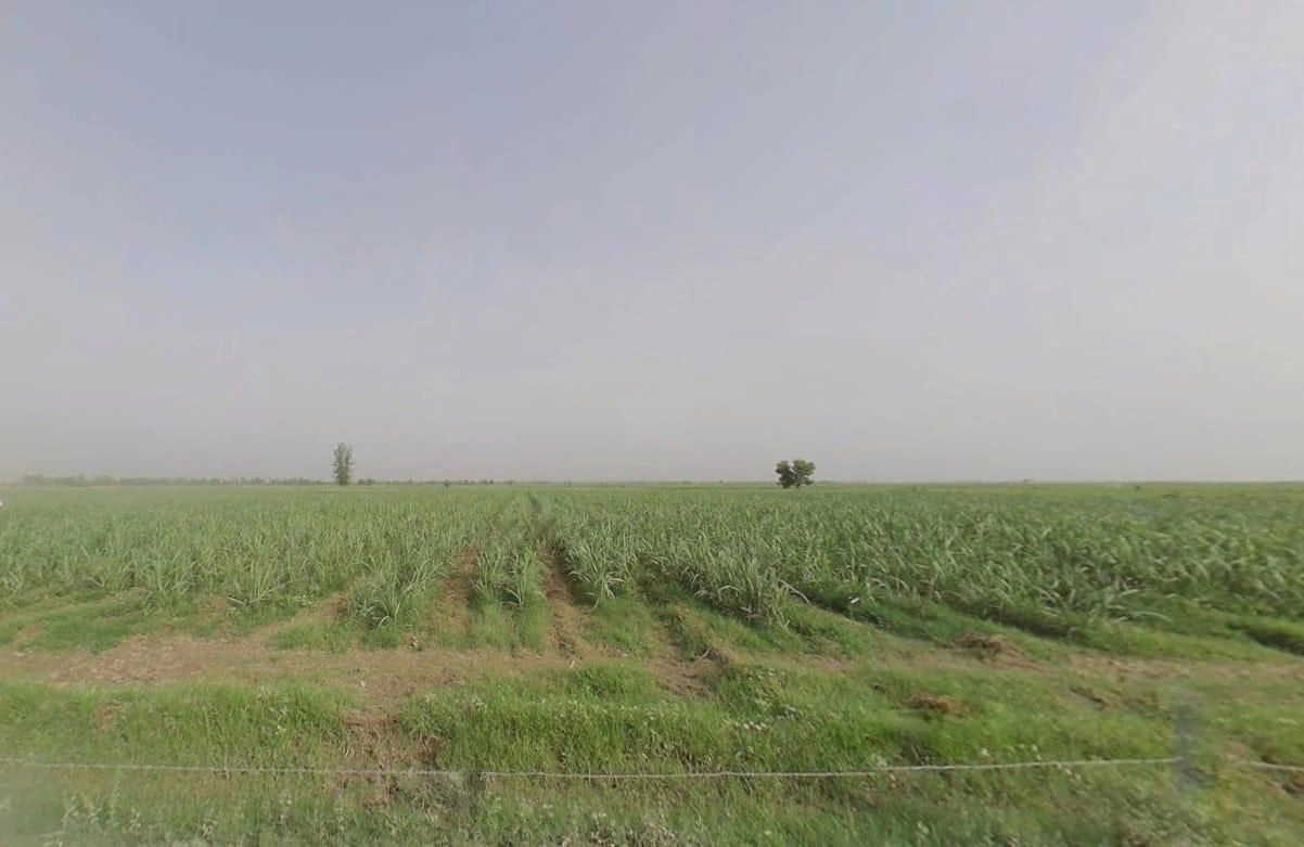 322X+268, Jalalpur Jora, Uttar Pradesh 250401, India