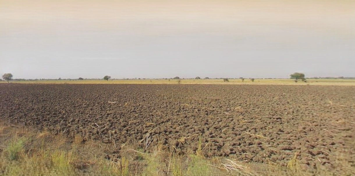 Sher Mau, Uttar Pradesh, India