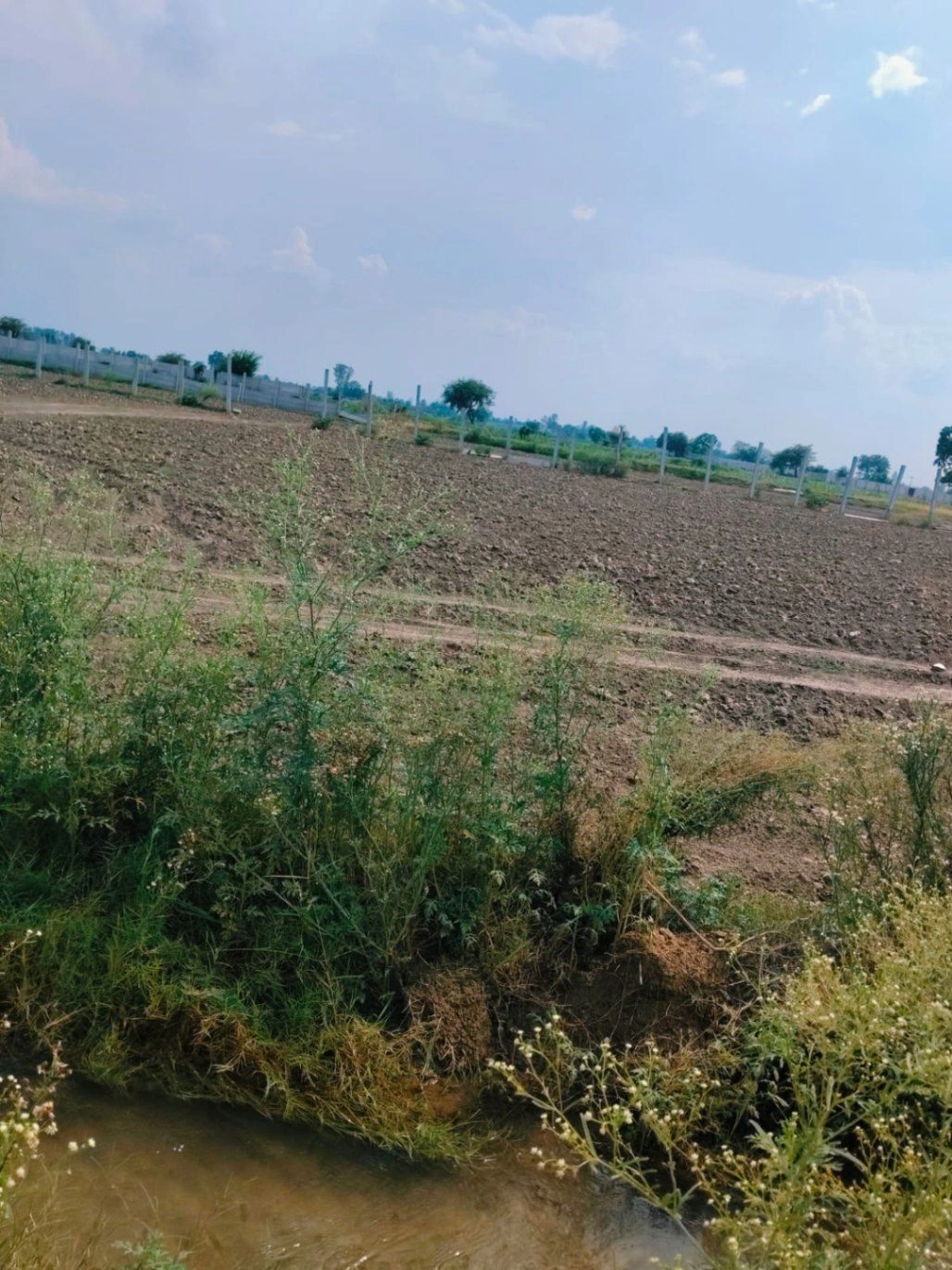 Khair, Aligarh, Uttar Pradesh 202138, India