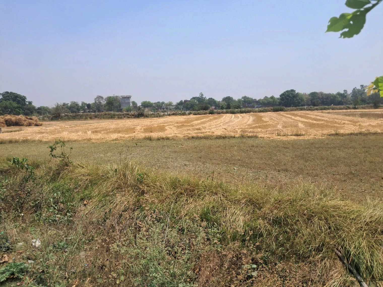P5FQ+XC2, Darshan Nagar - Bharat Kund Marg, Firozpur, Malik Pur, Uttar Pradesh 224133, India