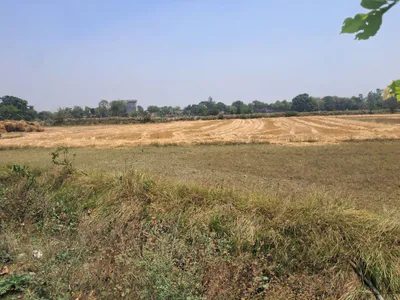 P5FQ+XC2, Darshan Nagar - Bharat Kund Marg, Firozpur, Malik Pur, Uttar Pradesh 224133, India preview 2