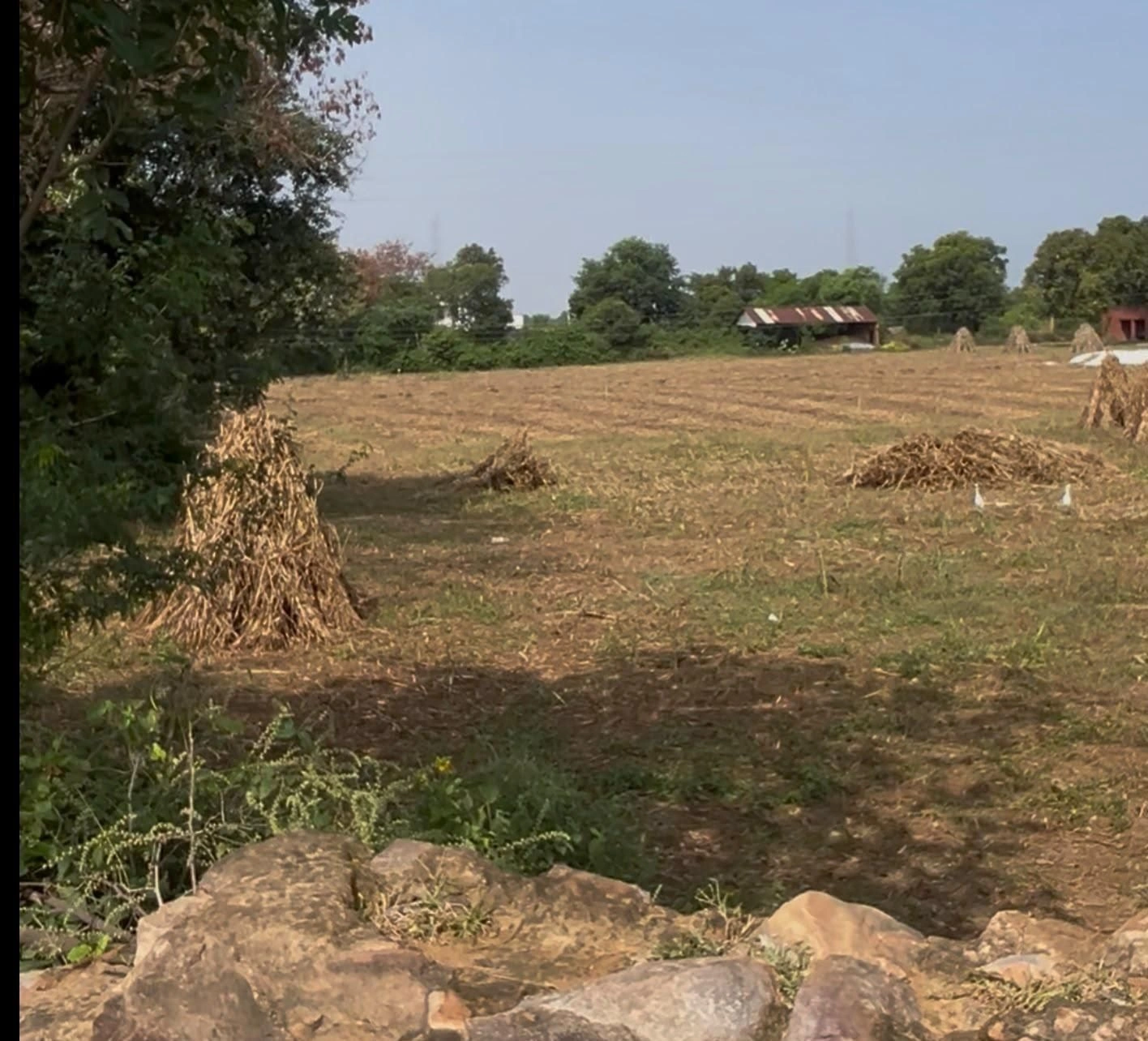 72H4+JM Bhango, Nuh, Haryana, India - Photo 4