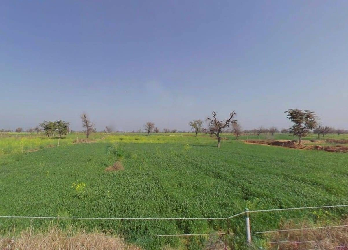 CX2Q+X9 Tigariya, Rajasthan, India