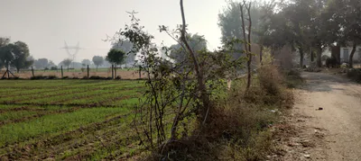 Bahadarke, Punjab 141008, India preview 2