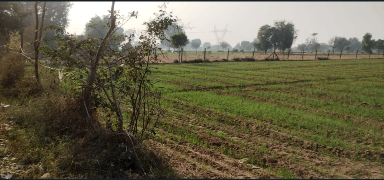Ulanpara, West Bengal 711303, India