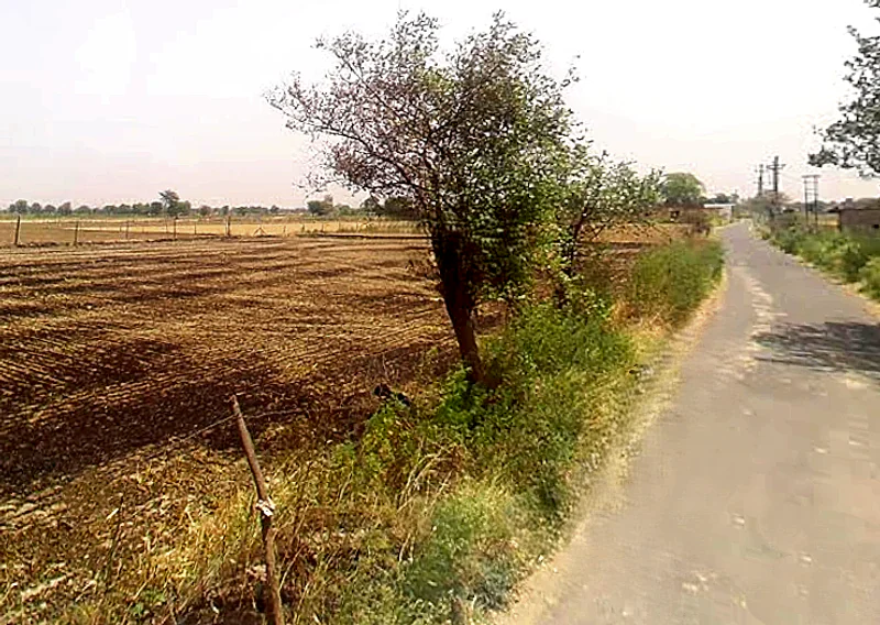 Nanua Ka Razapur, Uttar Pradesh 203201, India preview 2