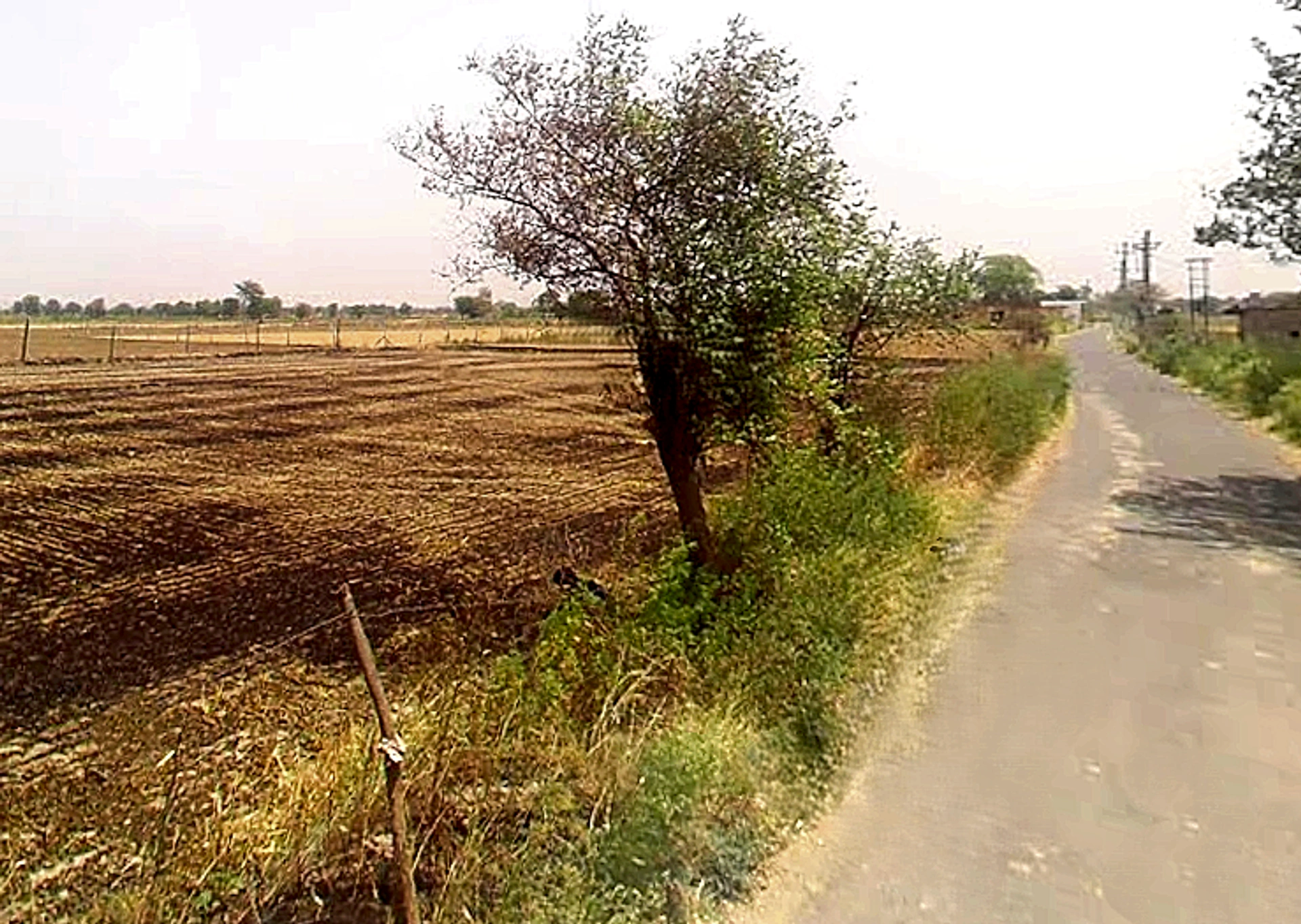 Nanua Ka Razapur, Uttar Pradesh 203201, India