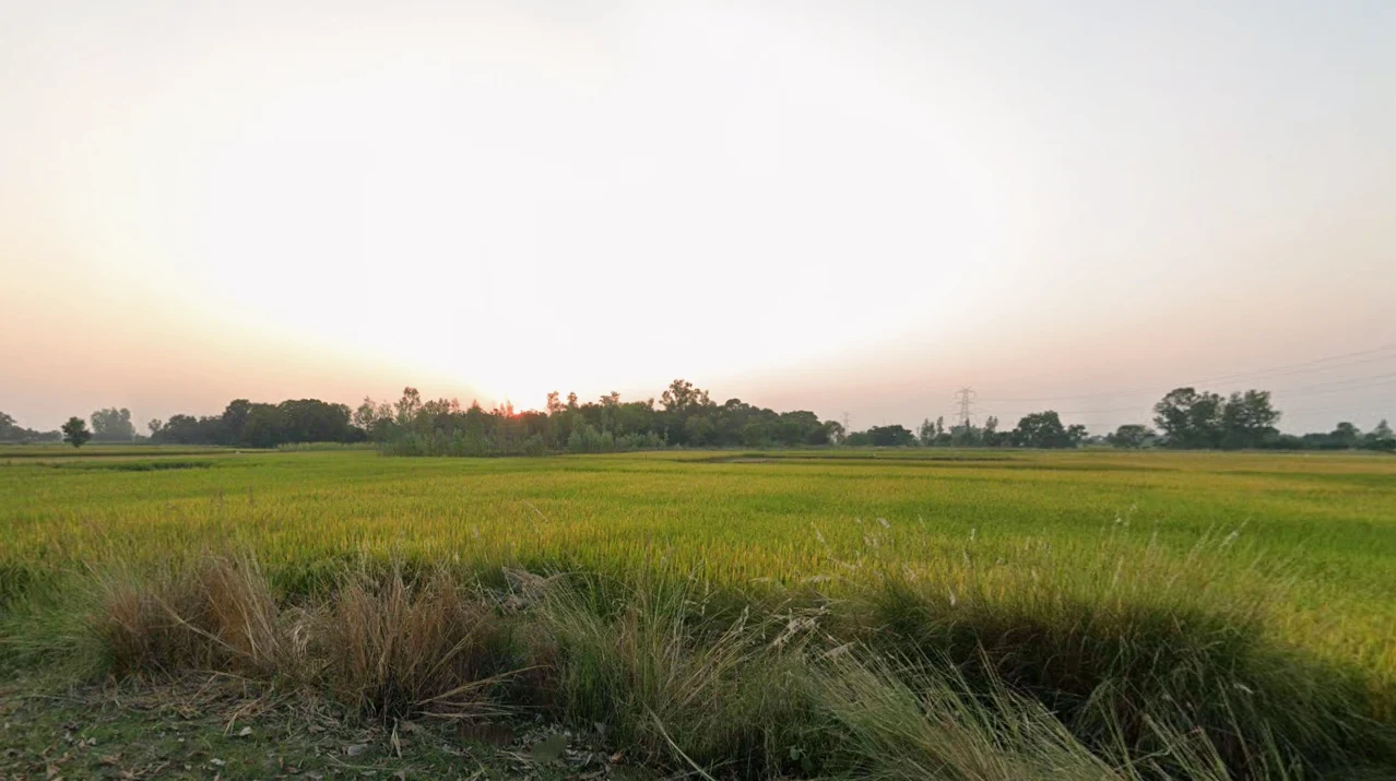 Nigohi, Uttar Pradesh 242407, India preview 3