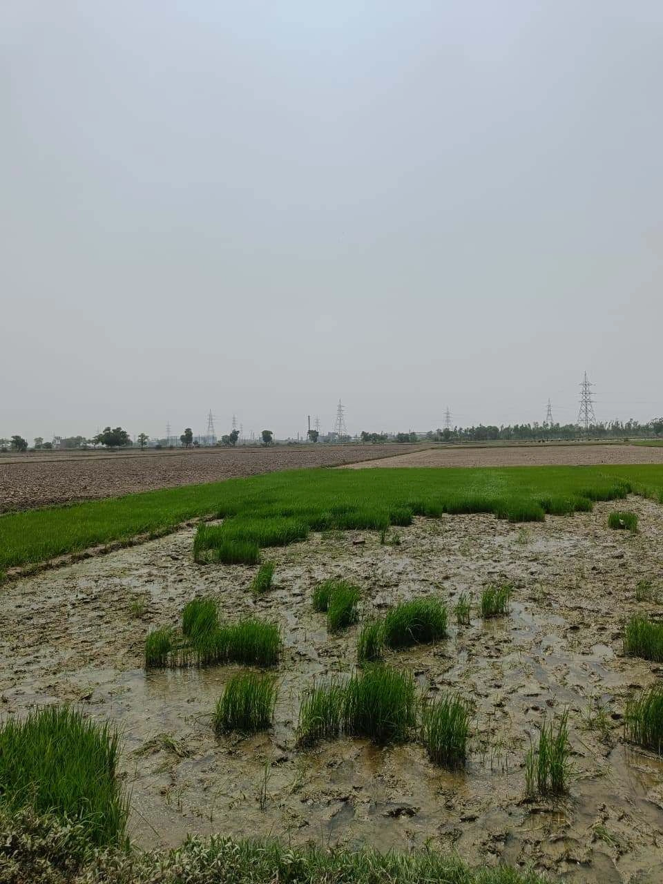 Sahar, Uttar Pradesh, India preview 3