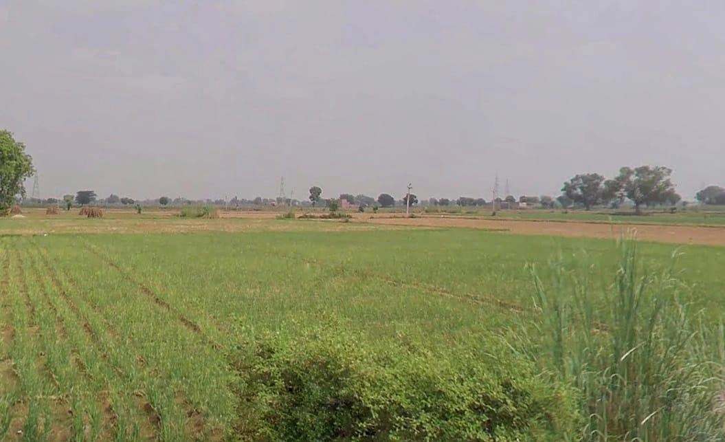 Alwar, Rajasthan, India