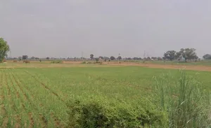 Alwar, Rajasthan, India preview 2