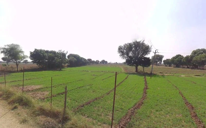 Dausa, Rajasthan 303303, India preview 3