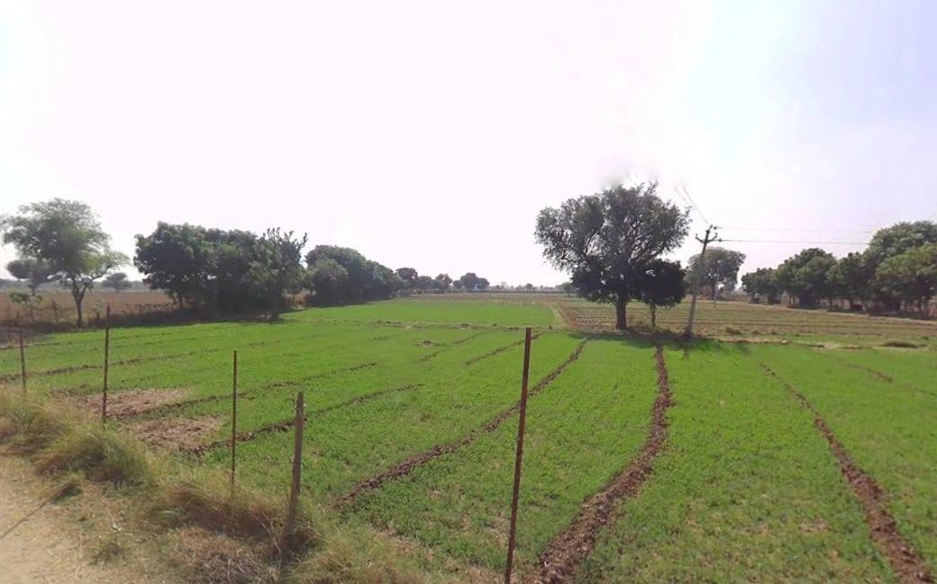 Dausa, Rajasthan 303303, India