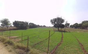 Dausa, Rajasthan 303303, India preview 3