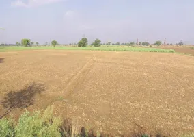 Tatiri Rural, Uttar Pradesh, India preview 2