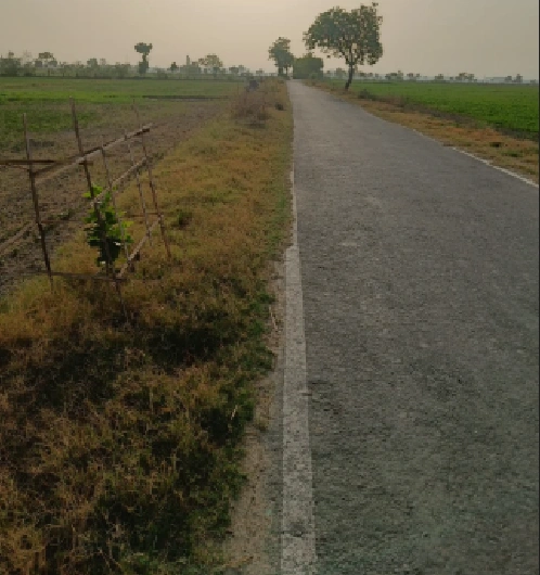 Kalwar, Madhya Pradesh 455332, India