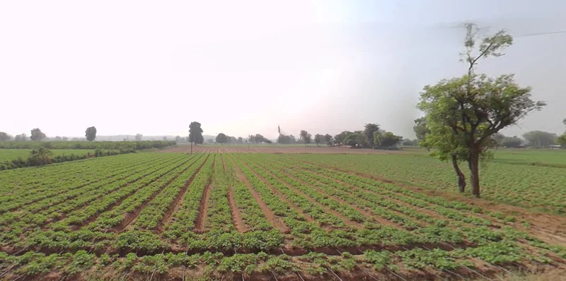 Shertha, Gujarat, India preview 2