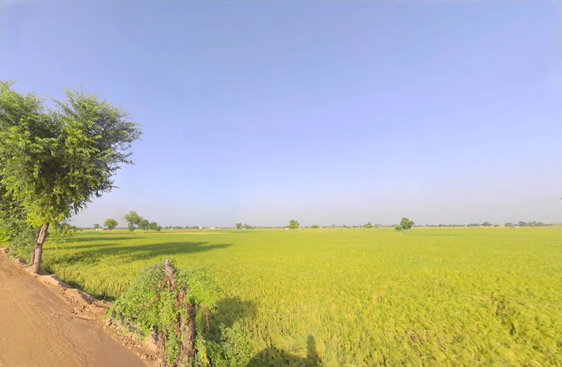 Rania, Haryana 125076, India