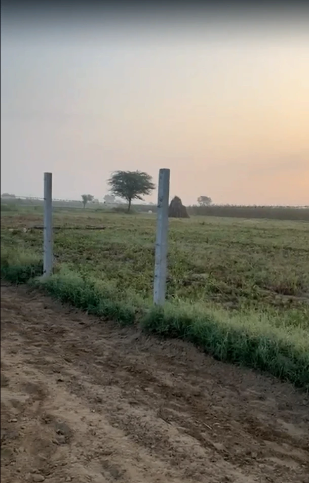 2PP7+5H Kotkasim, Khairthal-Tijara, Rajasthan, India