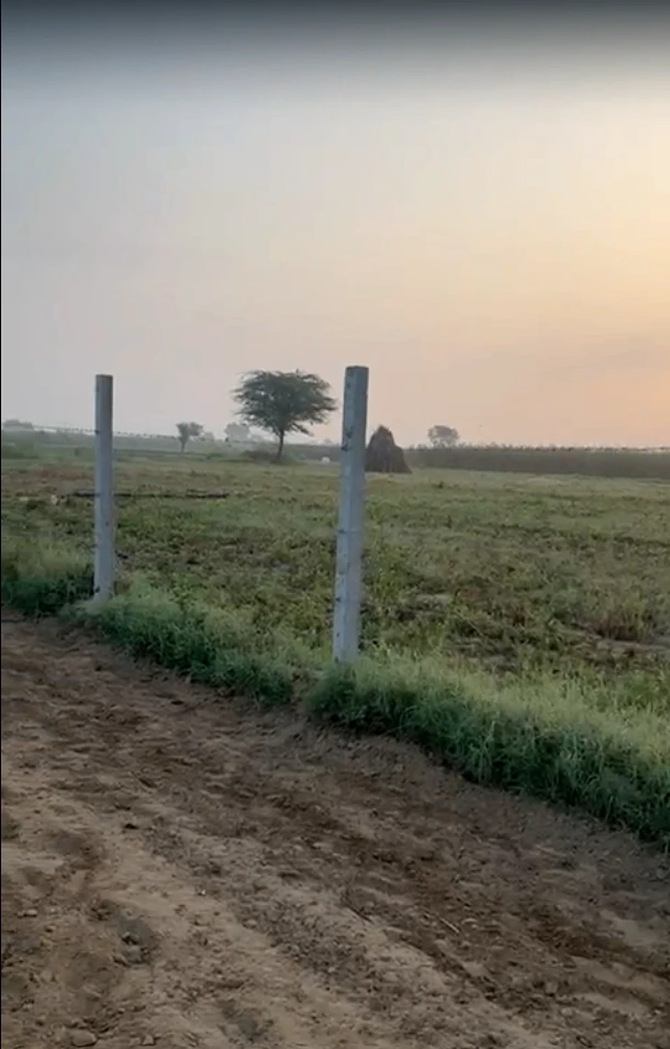 2PP7+5H Kotkasim, Khairthal-Tijara, Rajasthan, India