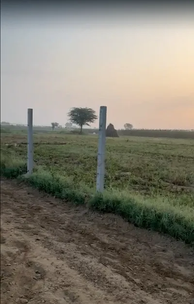 2PP7+5H Kotkasim, Khairthal-Tijara, Rajasthan, India preview 2