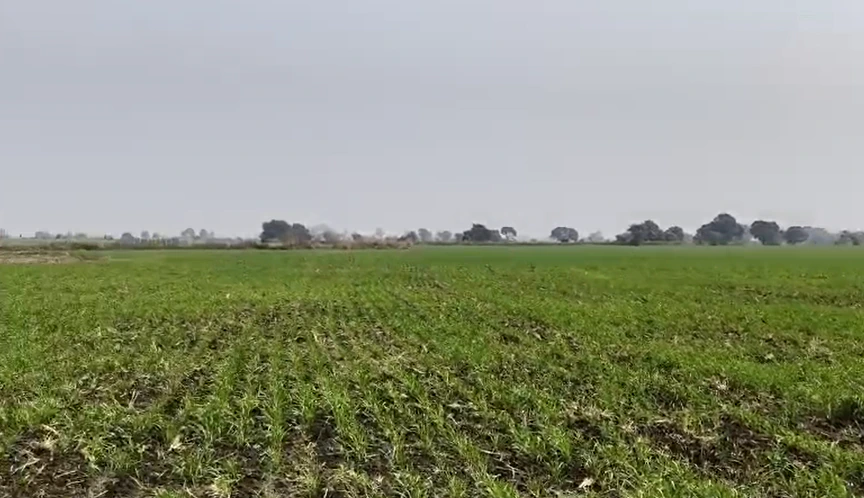 Khari, Vidisha, Madhya Pradesh 464001, India - Photo 2