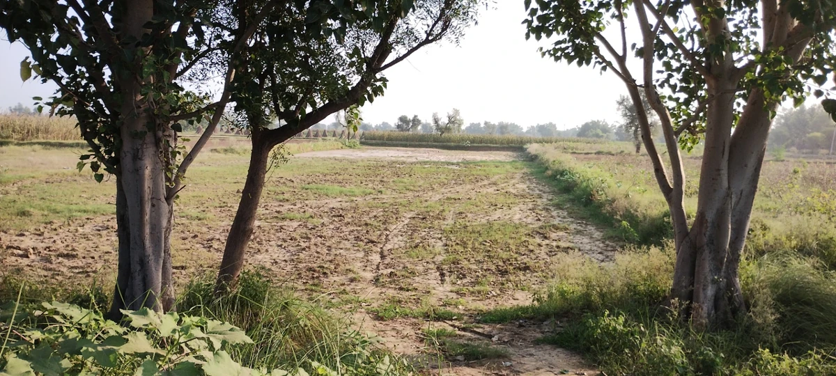 Semli, Rajasthan, India