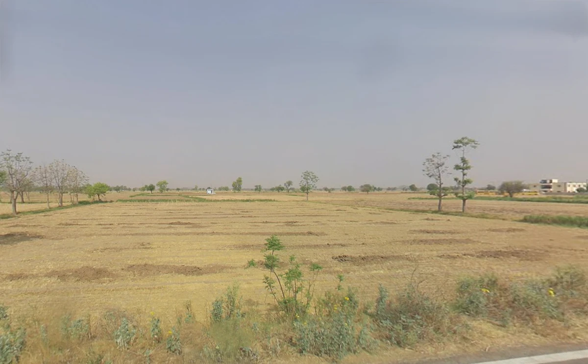 Dohaki, Haryana, India