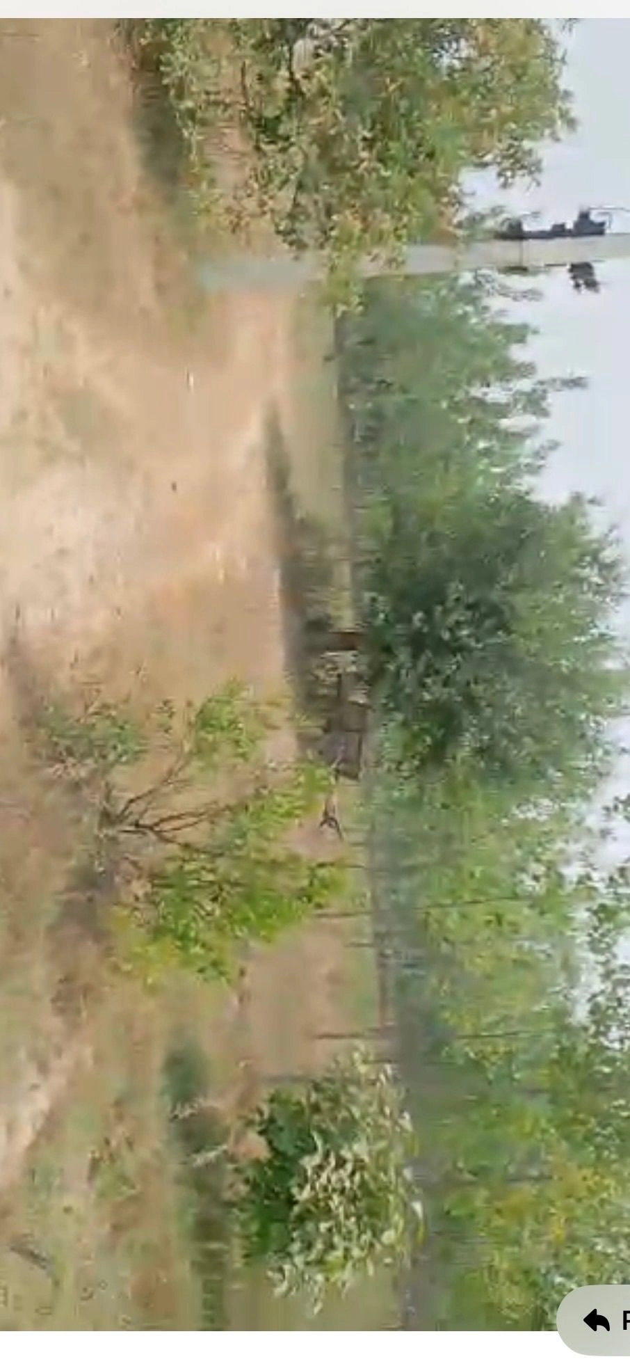 Mirganj, Meerganj, Bareilly, Uttar Pradesh, India