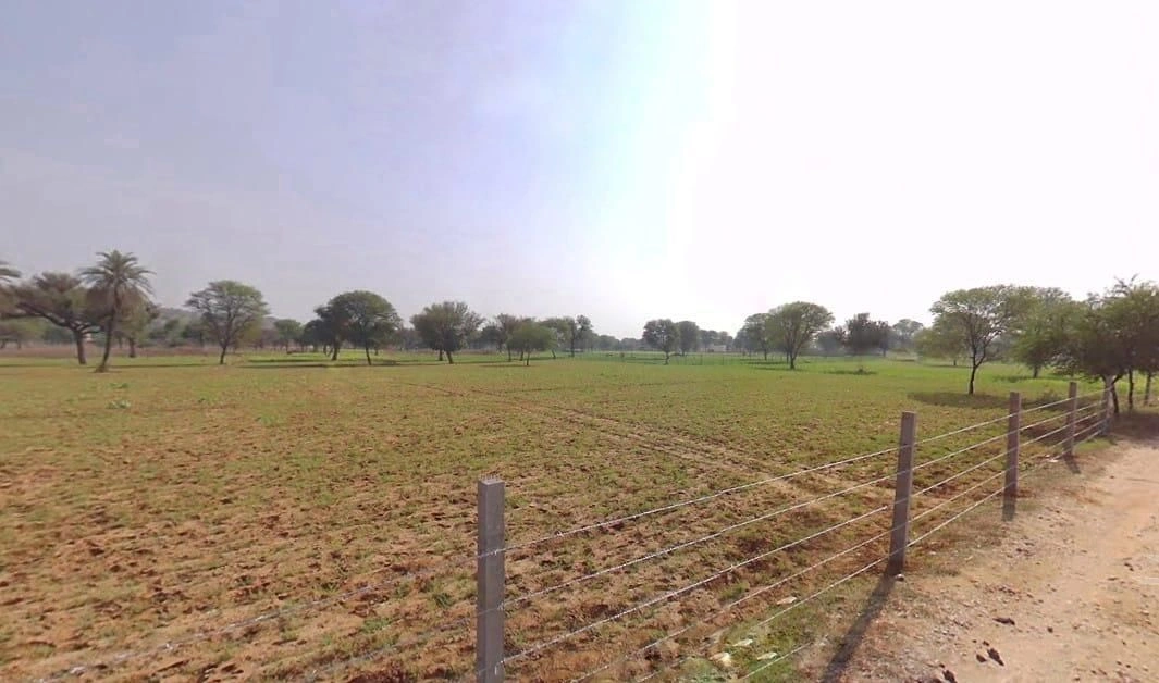 Shahpura, Rajasthan 303103, India