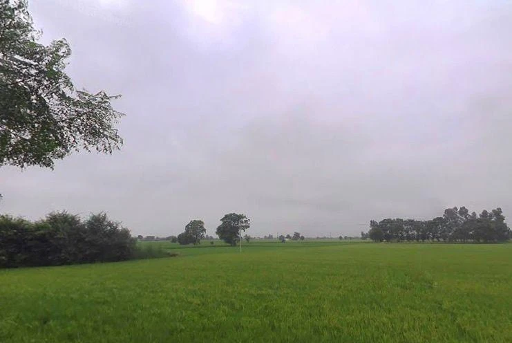 Nihal Singh Wala, Punjab 142055, India