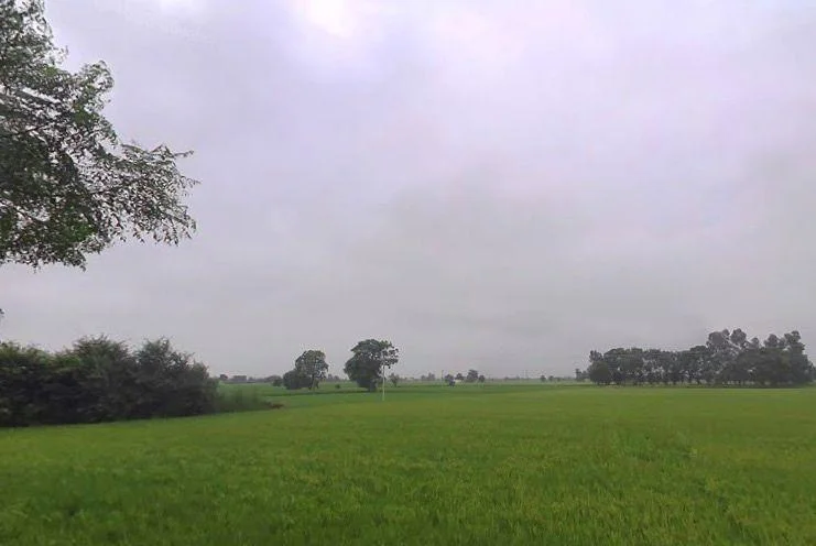 Nihal Singh Wala, Punjab 142055, India preview 3