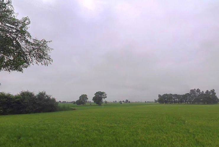 Nihal Singh Wala, Punjab 142055, India