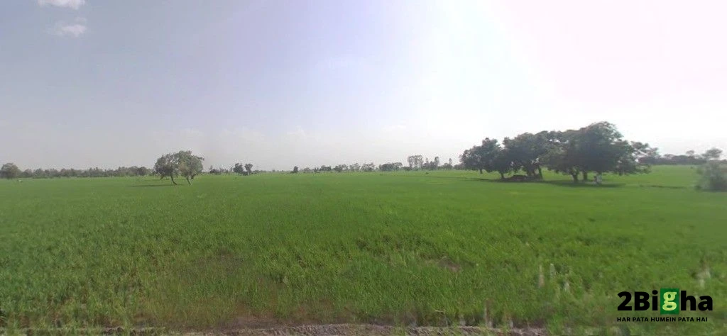 Pipaltha, Haryana 126116, India
